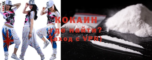 индика Арсеньев
