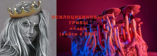 индика Арсеньев