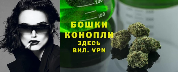 индика Арсеньев