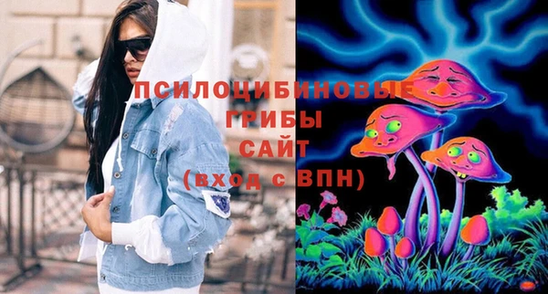 индика Арсеньев
