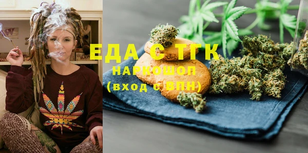 индика Арсеньев