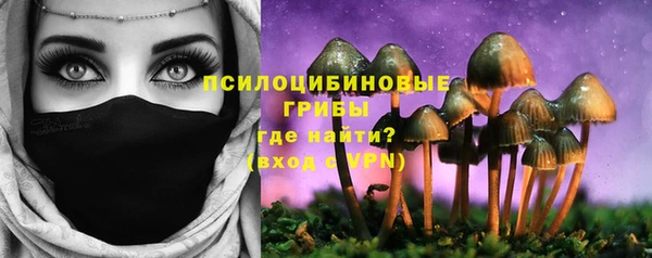 гидра Алексин